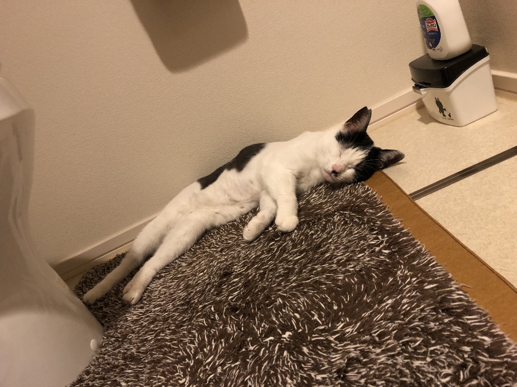 イメージ 5