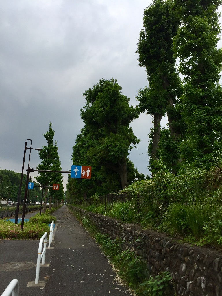 イメージ 3