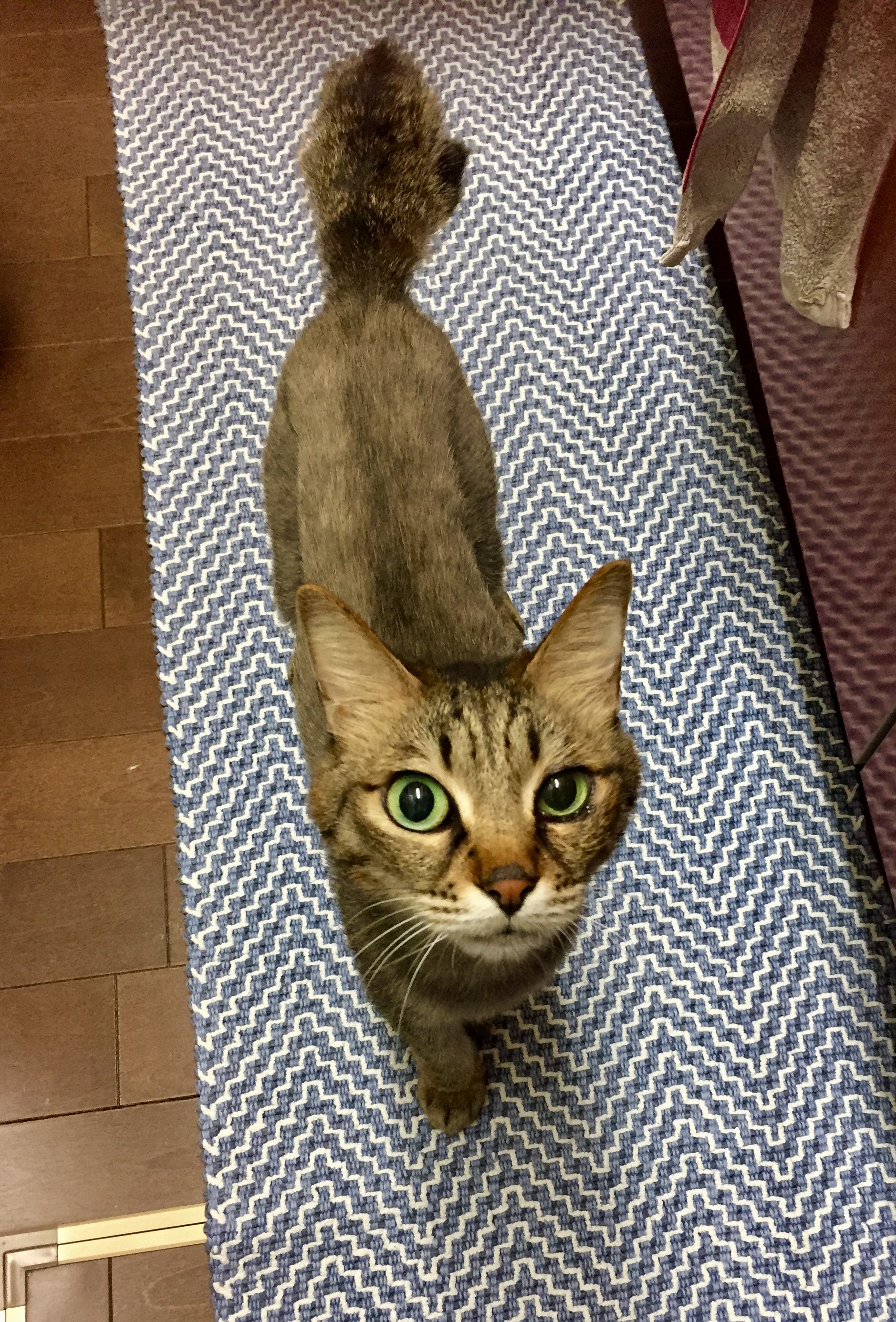 イメージ 1