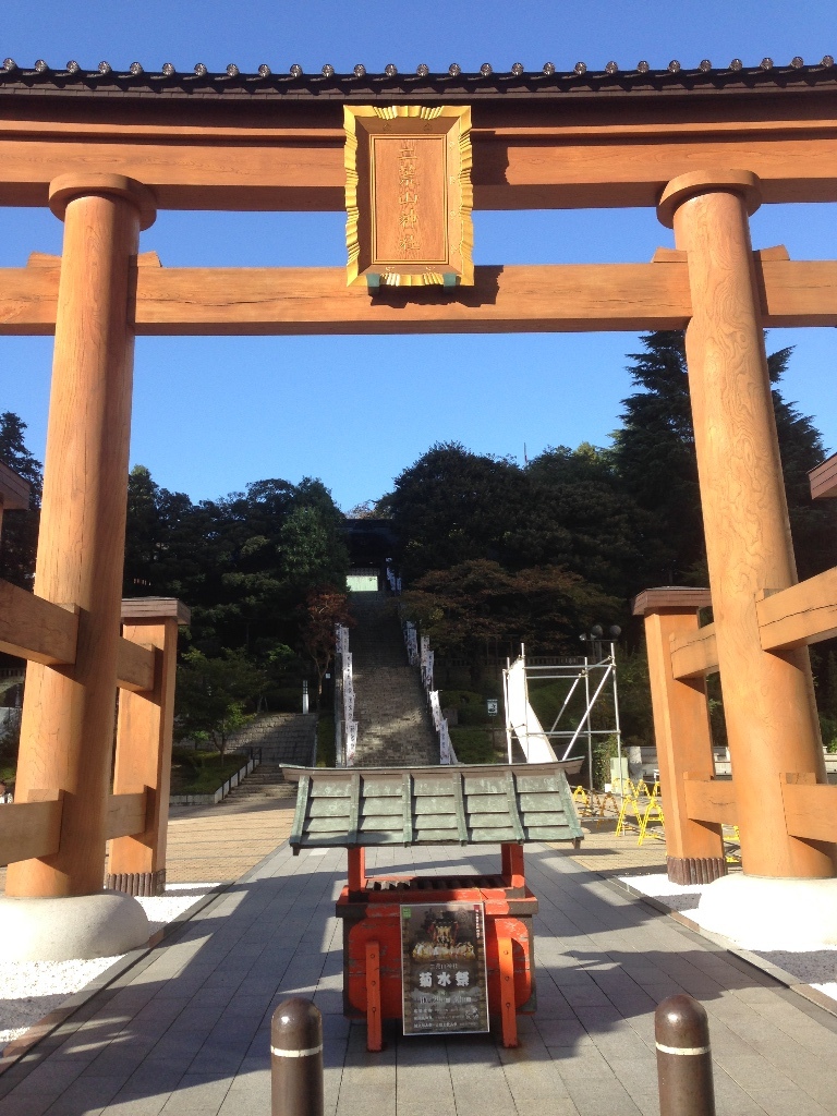 イメージ 6
