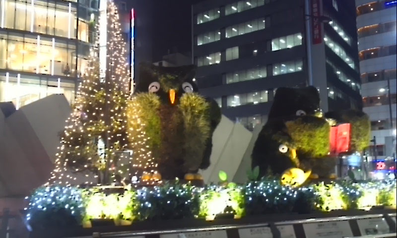 イメージ 1