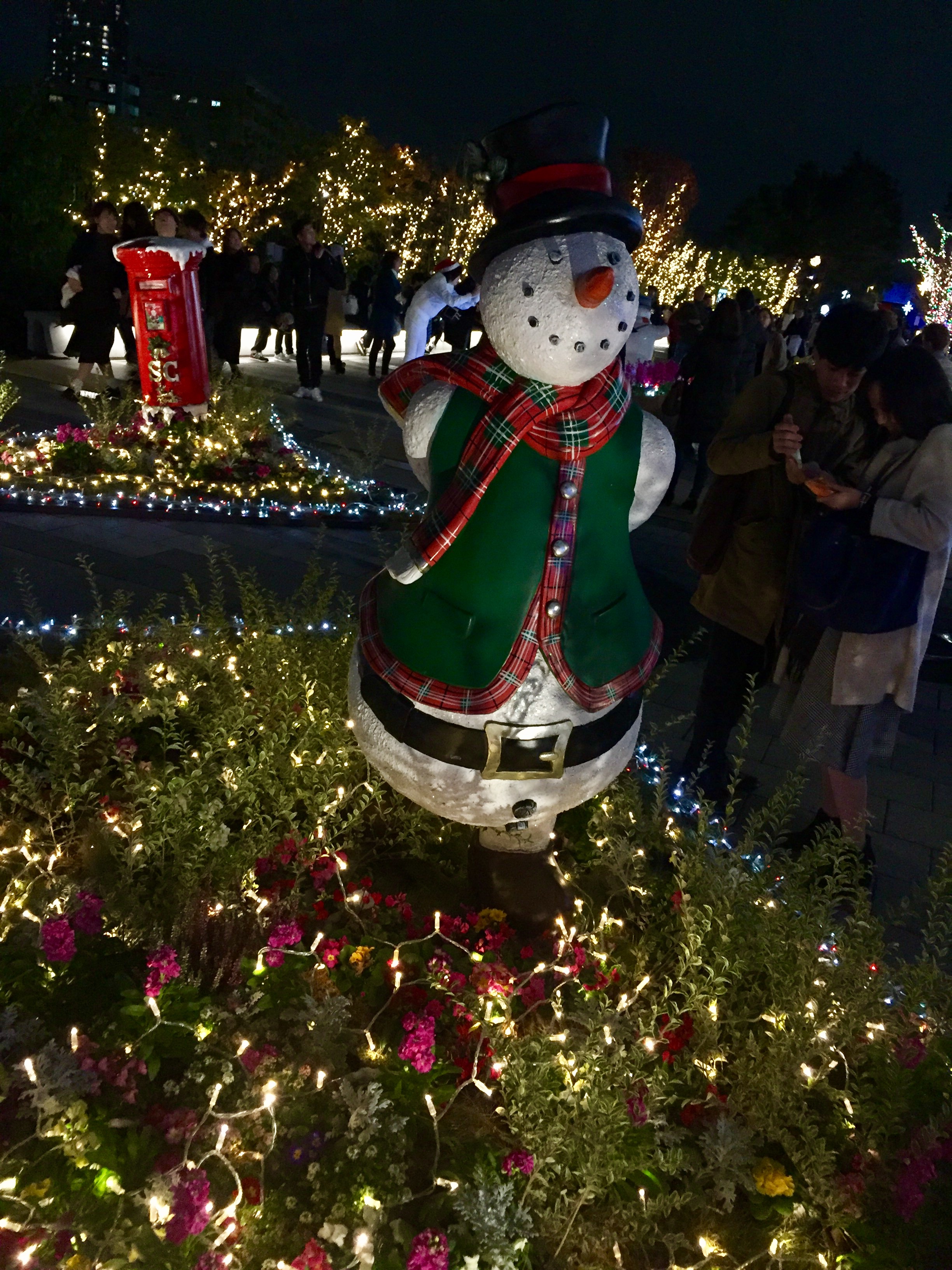 イメージ 15