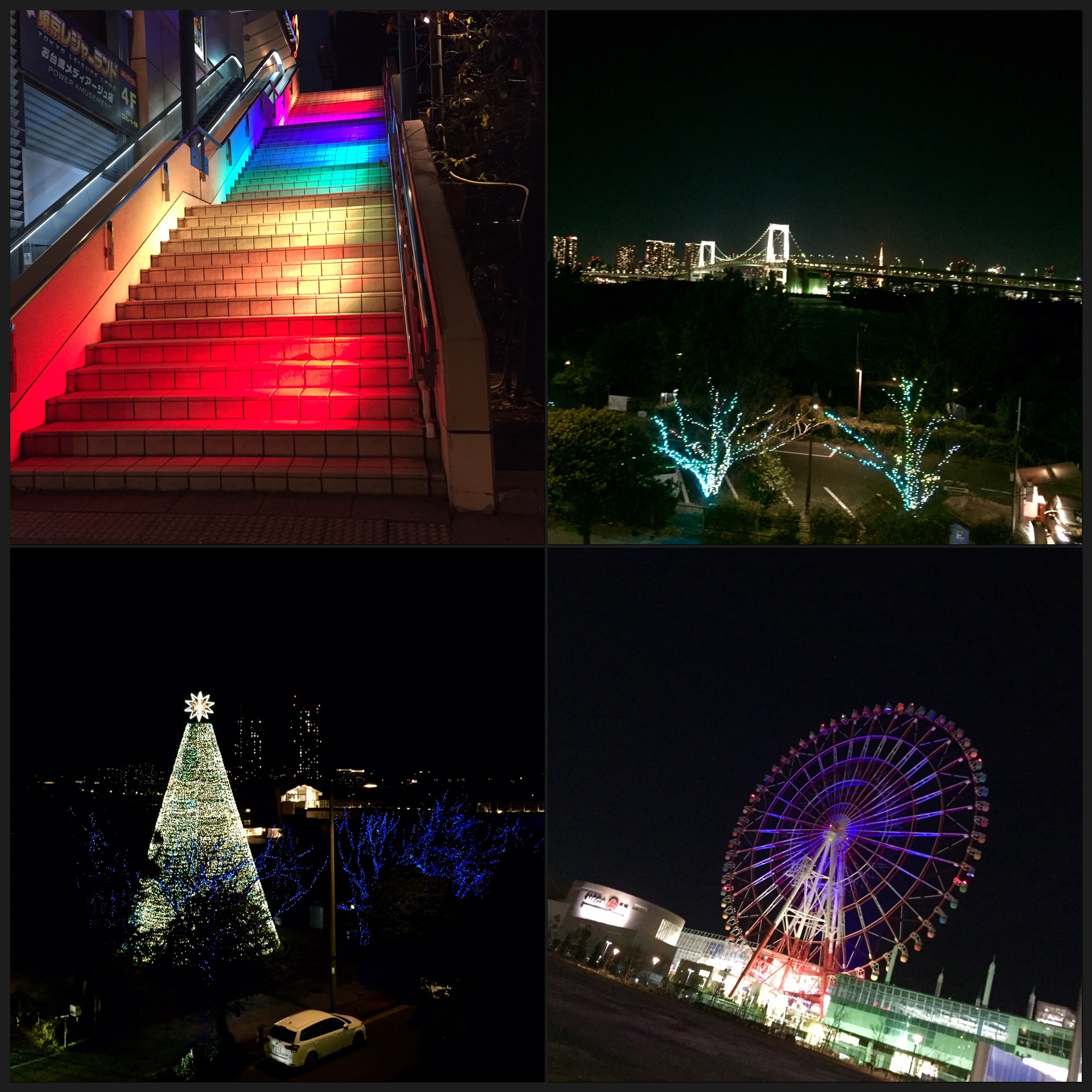 イメージ 5