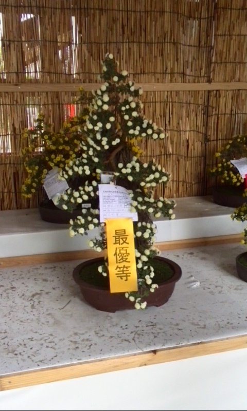 イメージ 4