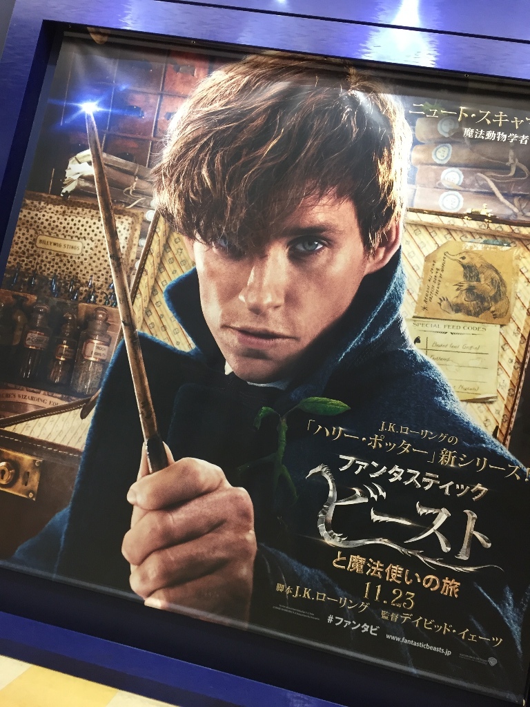 イメージ 6
