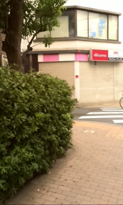 イメージ 3
