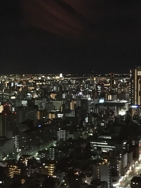 イメージ 10