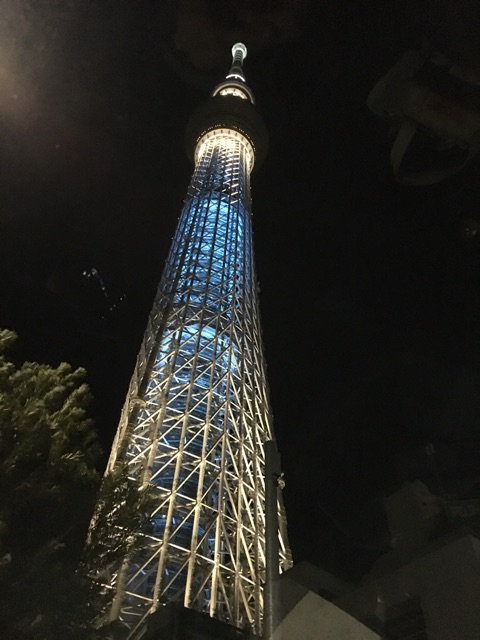 イメージ 9
