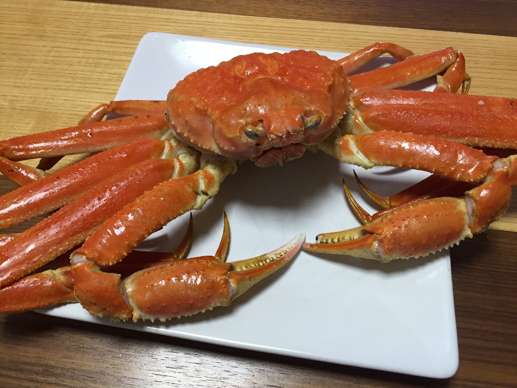 イメージ 7
