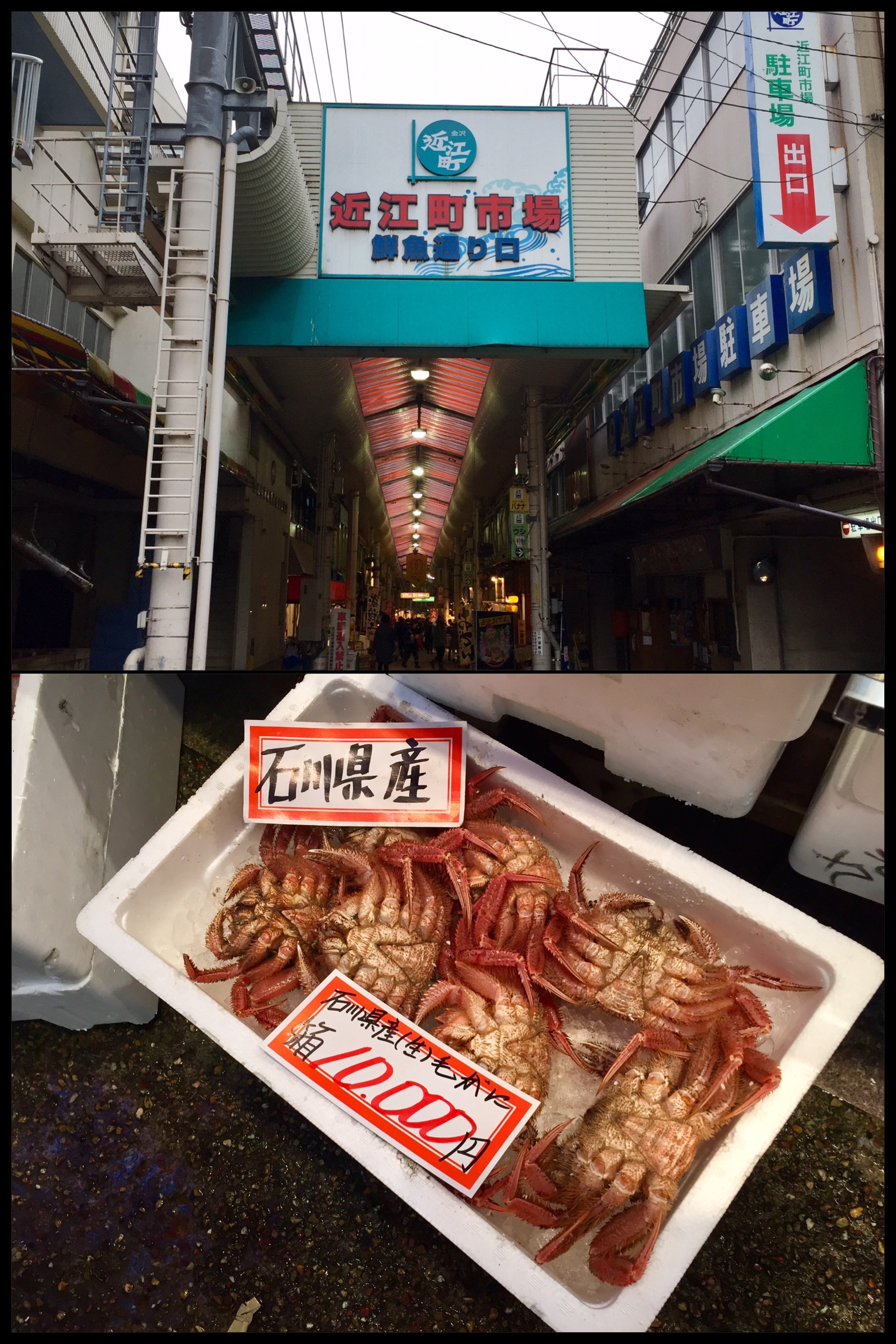 イメージ 11